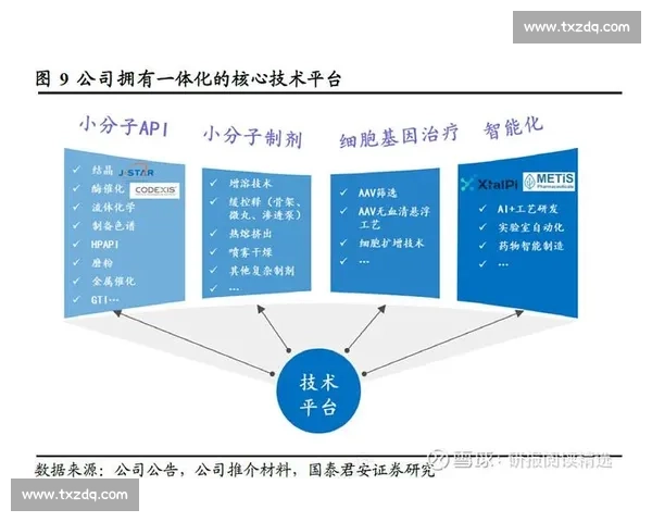31VS贝塔深度对比解析谁将引领下一代智能变革与应用前景全解析