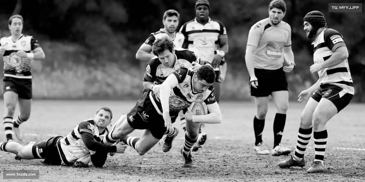 行业领先的理由